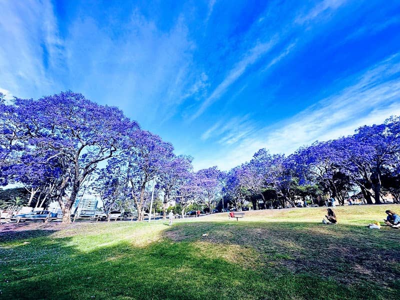 Hogben Park - Image 1