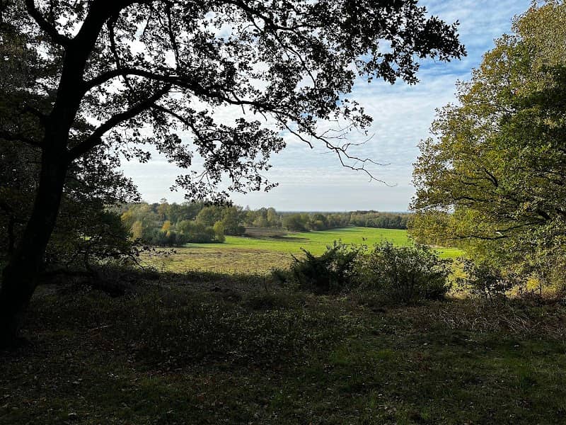 Het Mander Bos - Image 1