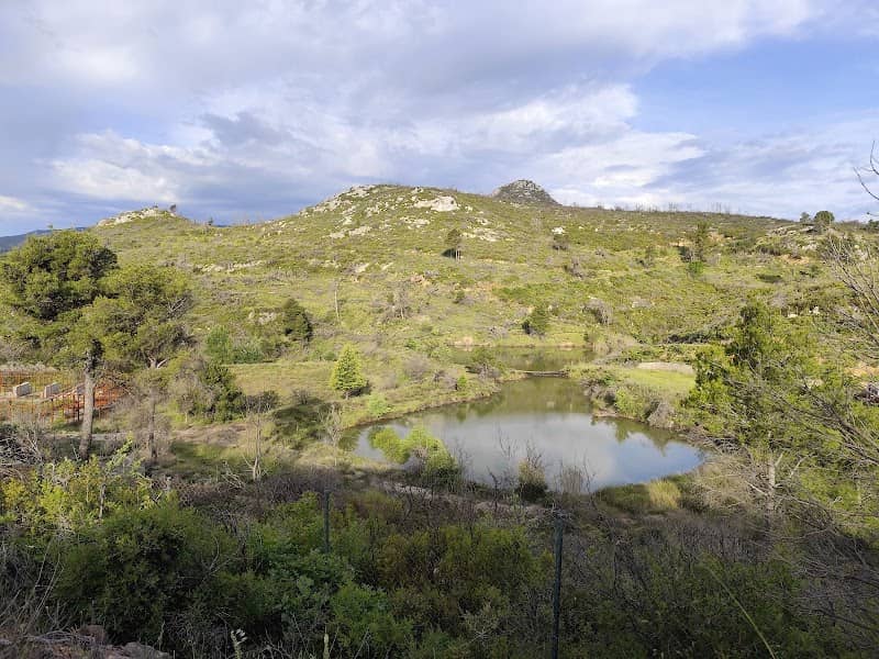 Lake - Image 1
