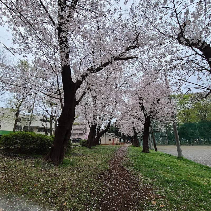 Higashi-Omiya Central Park - Image 1