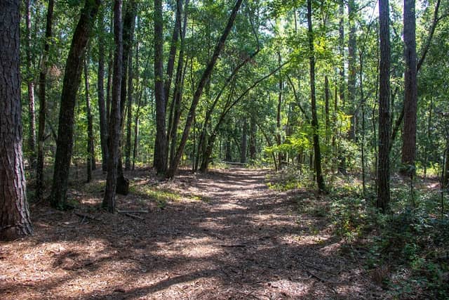 Ev-Henwood Nature Preserve - Image 1