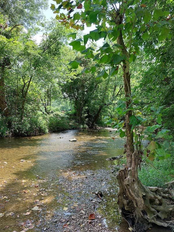 Preston Trails Park - Image 2
