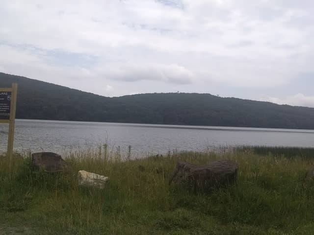 Clinch Mountain Wildlife Management Area - Image 2