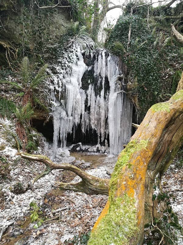 Bierley Waterfall - Image 1