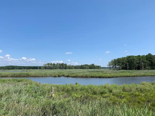 Chesapeake Bay Environmental Center - Image 1