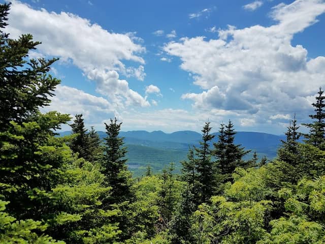 Windham-Blackhead Range Wilderness - Image 3