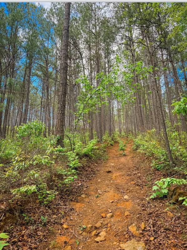 Stairway to Heflin - Image 1