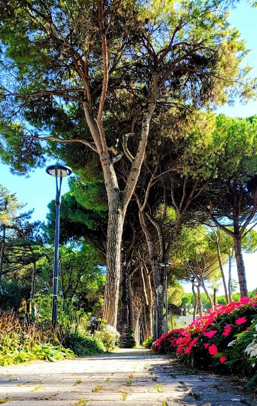 Viale dei Fiori - Image 1
