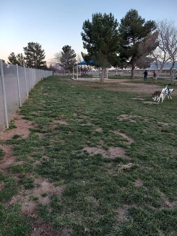 Tompkins Dog Park - Image 1