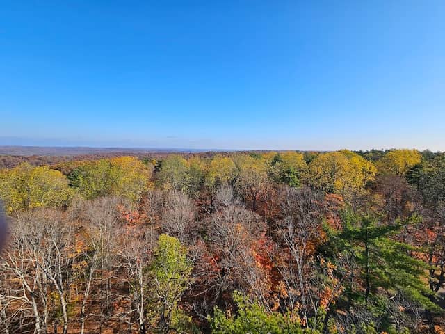 Harrison-Crawford State Forest - Image 1