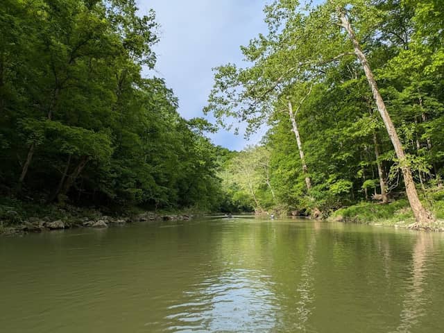 Harrison-Crawford State Forest - Image 2