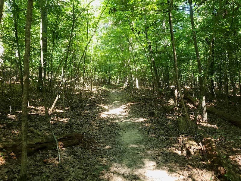 Morris State Park - Image 2