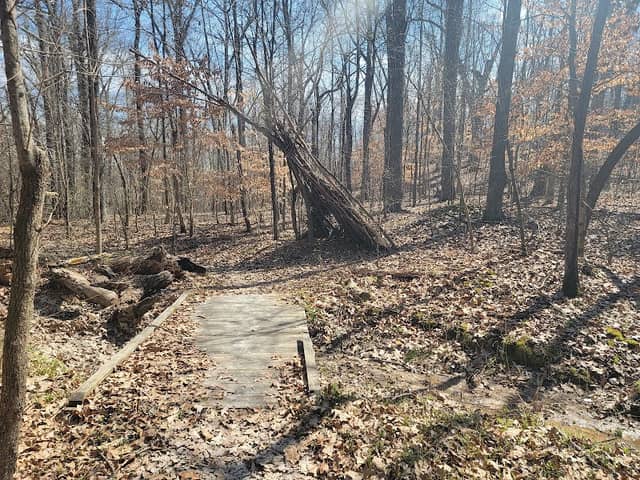 Morris State Park - Image 1