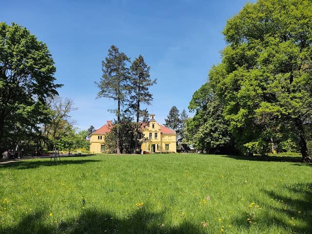 Park Pałacowy Stary Kisielin - Image 2