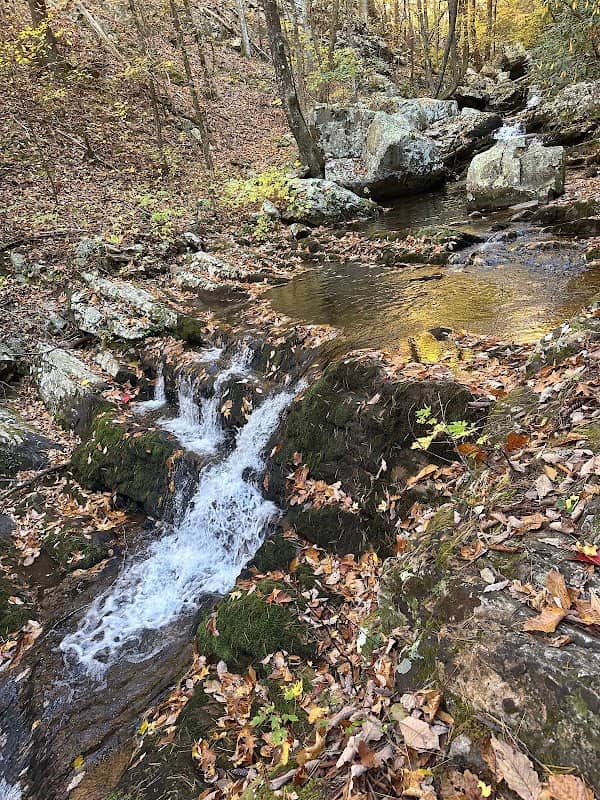 Gee Creek Falls - Image 1
