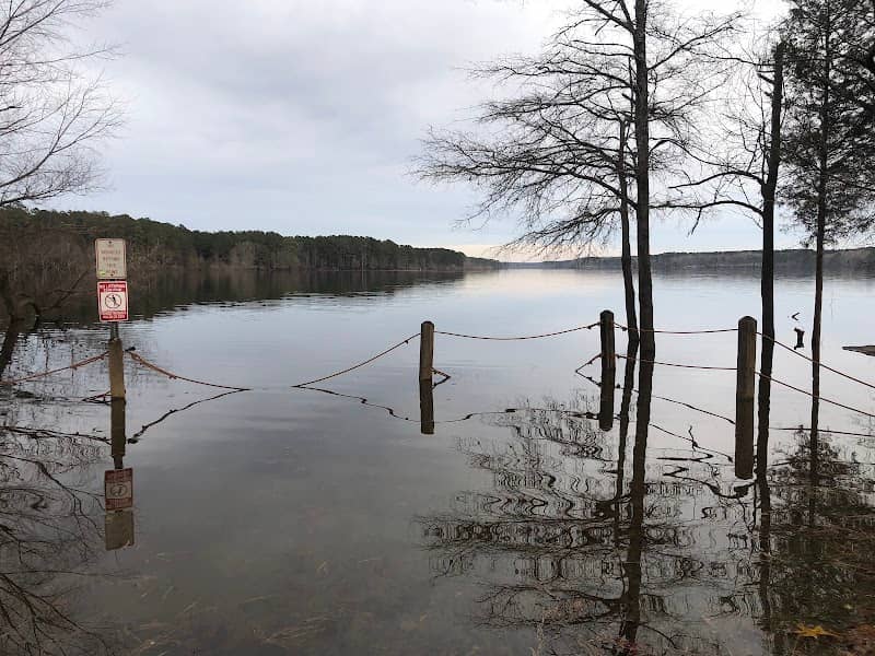 Jordan Lake Fishing NC Wildlife - Image 1