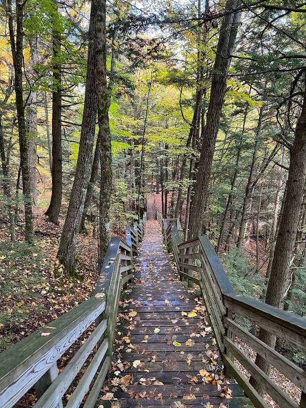 Highbanks Hiking and Ski Trail - Image 1