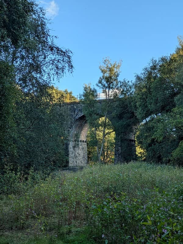 Pleasington Nature Reserve - Image 2