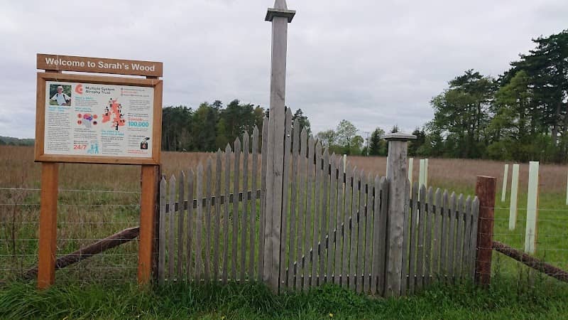 Sarah's Wood - Image 1