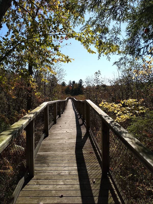 Gales Pond County Park - Image 2