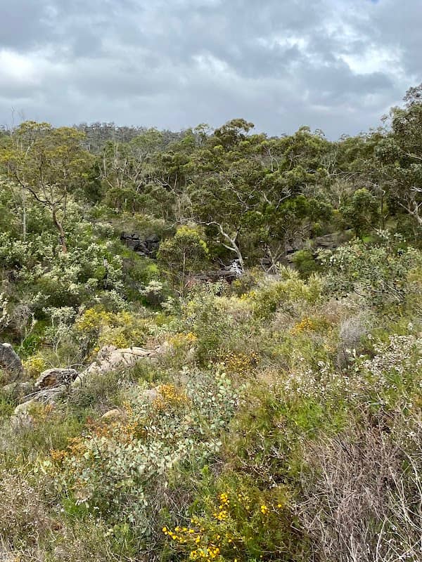 Eaglemont Park - Image 3