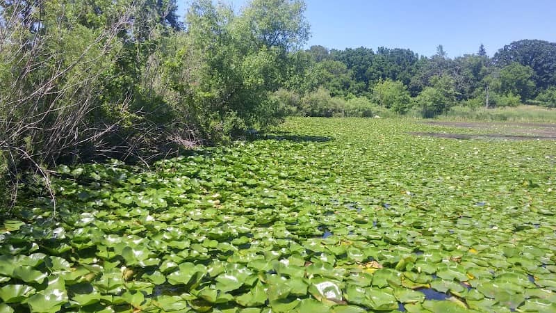 South Oaks Park - Image 3
