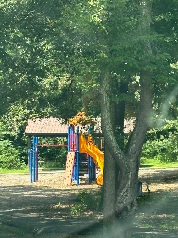 Silver Linden Park - Image 1