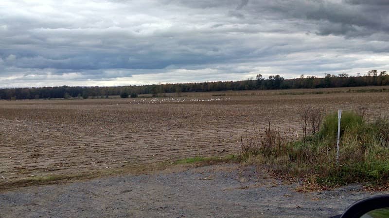 Cliff Haven Recreation Parks - Image 2