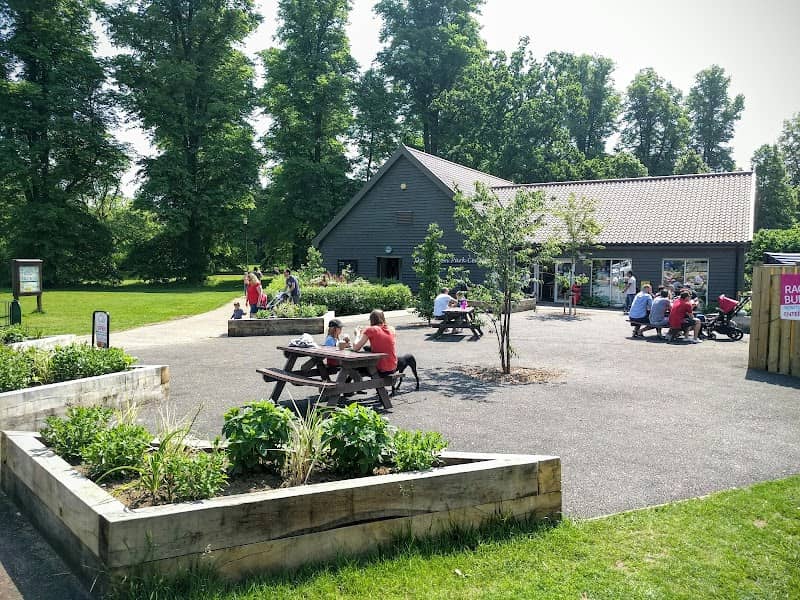 Nowton Park - Image 1