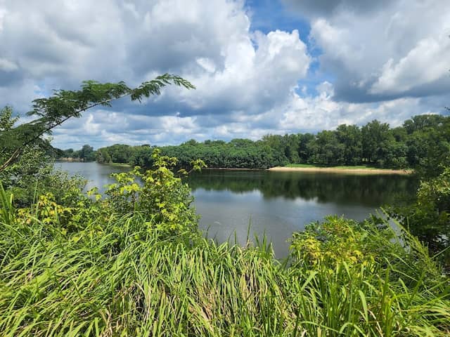William Bartram Arboretum - Image 1