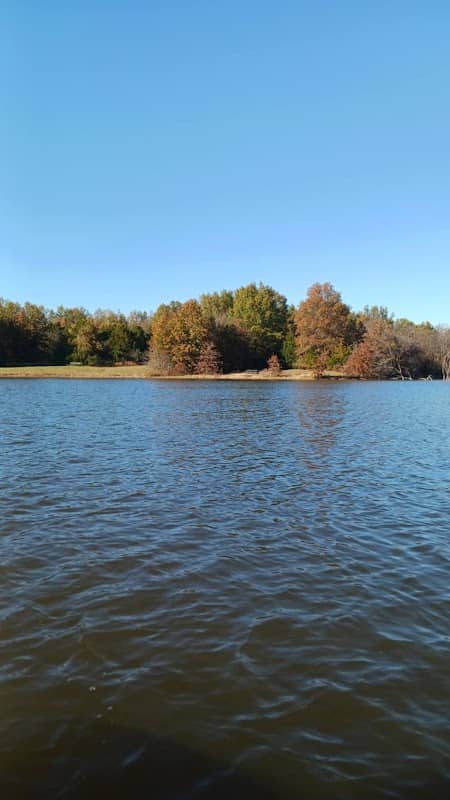 Potts Park Nature Trail - Image 2