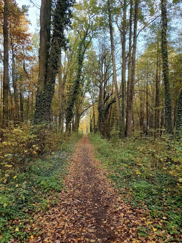 Park Zamkowy Dąbrowa - Image 1