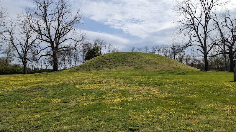 Fewkes Mound Archaeological Site - Image 2