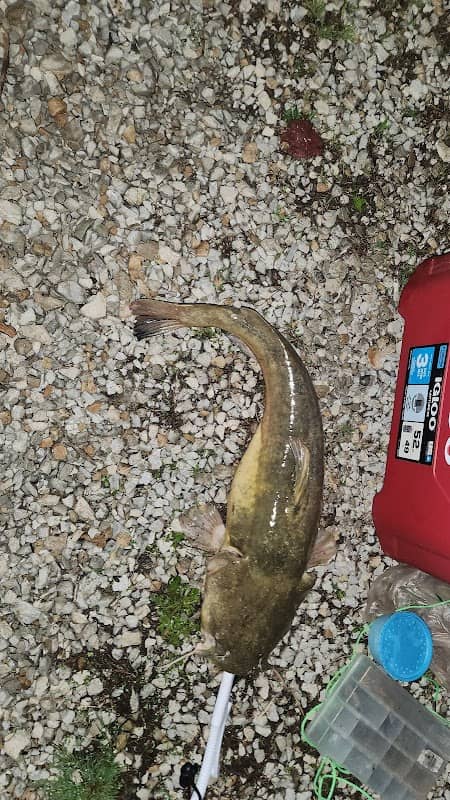 Off The Hook Fishing Lake - Image 2