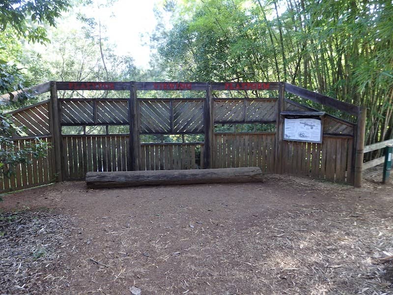 Yungaburra Platypus Viewing Platform - Image 1