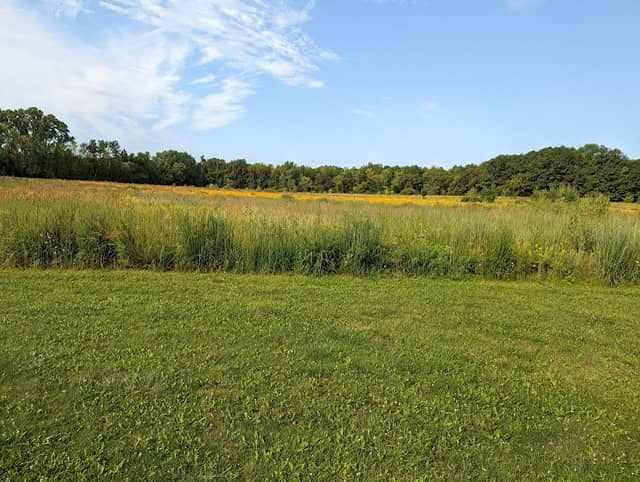 Wildlife preserve - Image 1