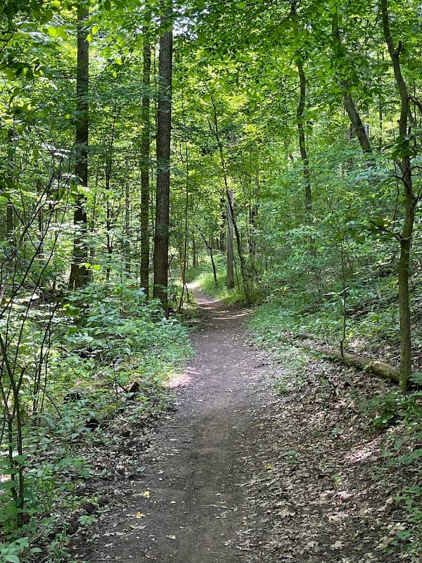 Meeks Mountain Trails - Image 1