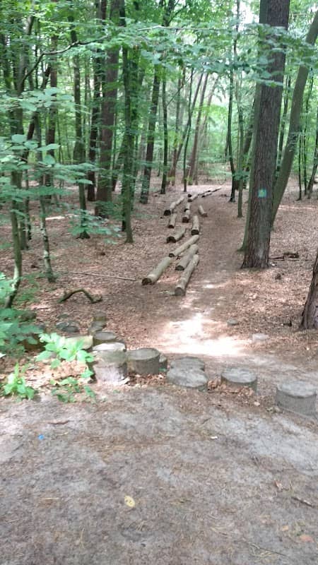 Tor Przeszkód - Image 2