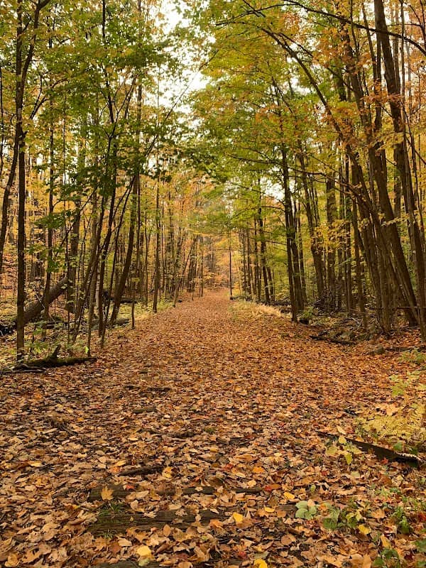 Barre Town Forest parking - Image 1