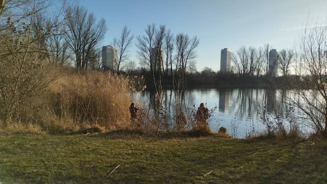 Willersinnweiher - Image 1
