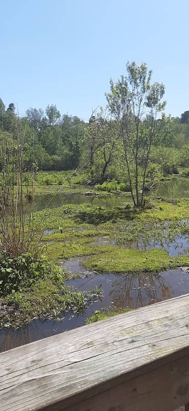 Mingo Creek Trail Parking - Image 2