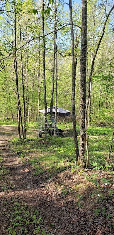 Lush Green Hideaway - Image 2