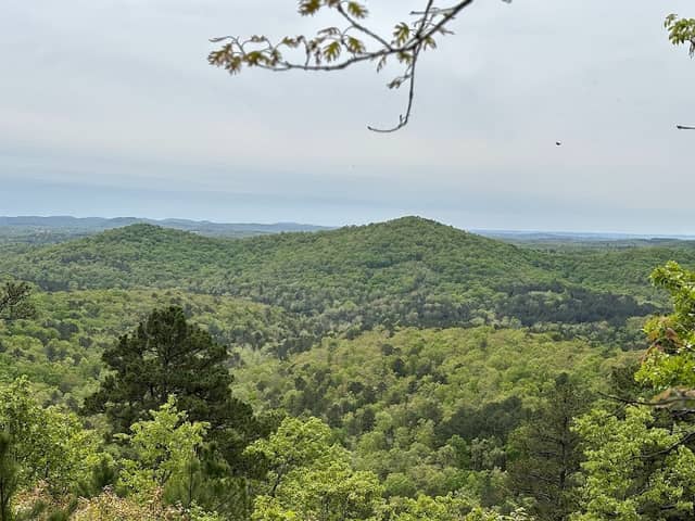 Caney Mountain Conservation Area - Image 1