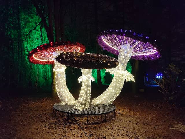 Lumina Park Lublin - Image 3