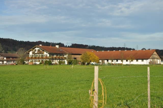 Ferienhof Zum Kainz - Image 1