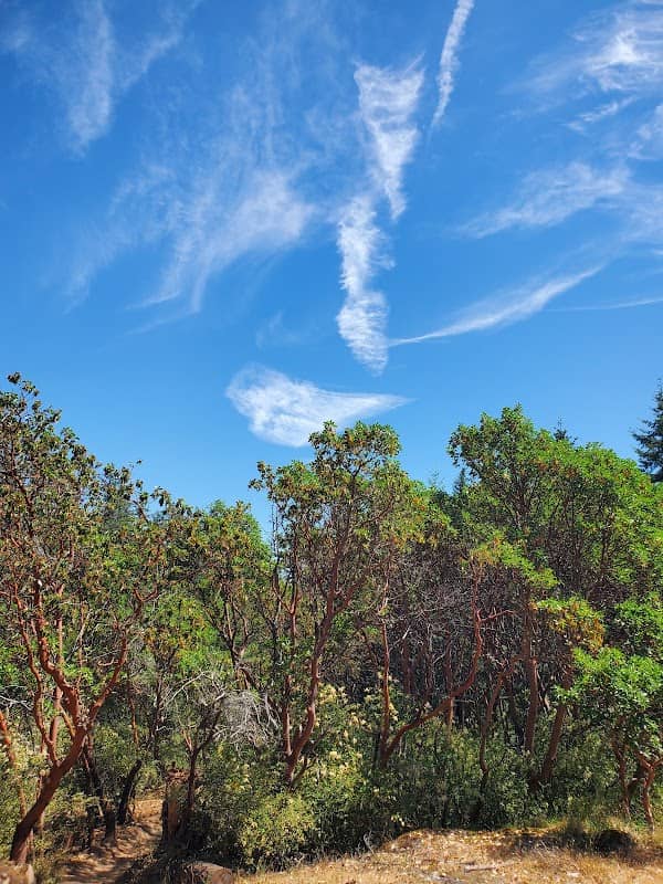Langford Gravity Zone & Nature Trails - Image 1