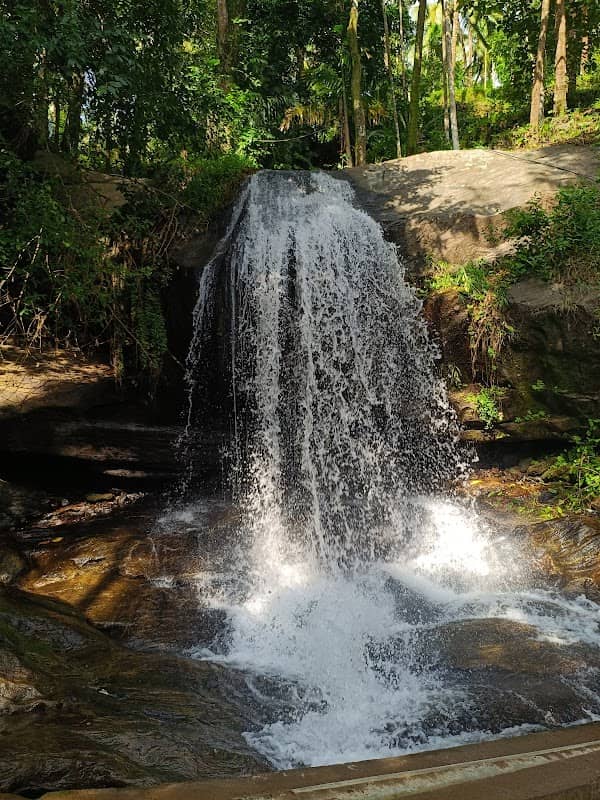 Erumakuzhi waterfall - Image 1