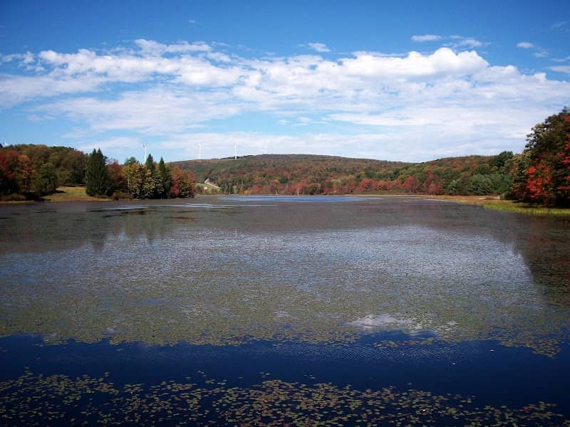 Cranberry Glade Lake - Image 1