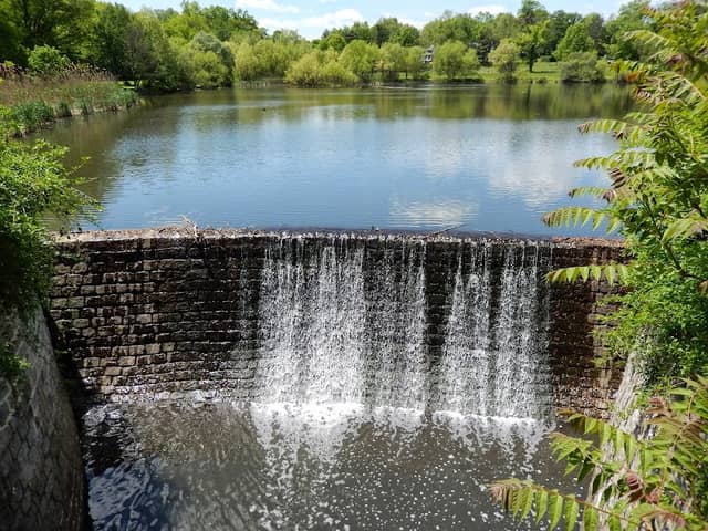 Briant Park - Image 5
