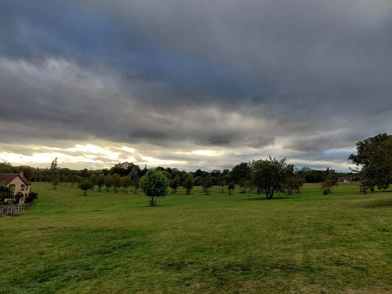 Bellinge Field - Image 1